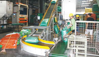 銷量再創新高，躍居順德膨化料單廠第二——健康飼料專家戰略布局引領水產品養殖新篇章