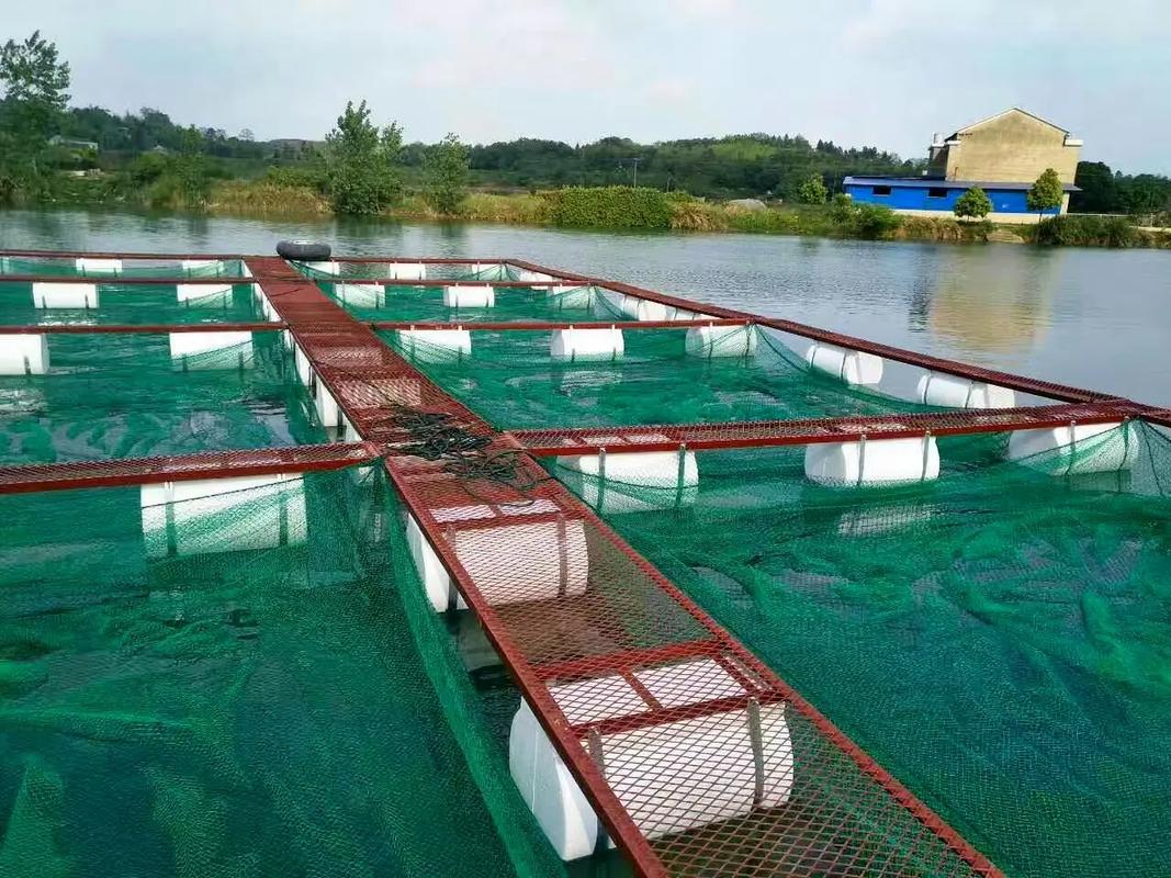 養殖場專用 #特種水產養殖 #四大家魚養殖 #水產人 #網