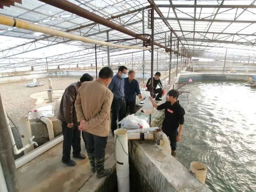 九江水產(chǎn) 產(chǎn)得出、運(yùn)得走、不積壓、不賣難，力促產(chǎn)業(yè)平穩(wěn)有序發(fā)展