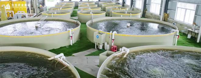 生生農(nóng)業(yè)集團(tuán) 打造全產(chǎn)業(yè)鏈閉環(huán)，實(shí)現(xiàn)水產(chǎn)養(yǎng)殖與全鏈路的深度賦能