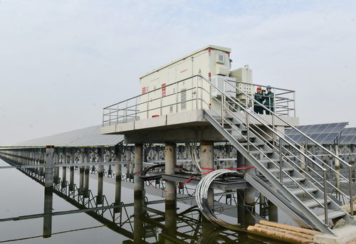 河北滄州 新能源裝機容量突破千萬千瓦大關 水產品養殖開啟綠色轉型新篇章